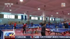 2026年世界杯官网 安全稳定、持久耐用：踏步机成就持续健身之路